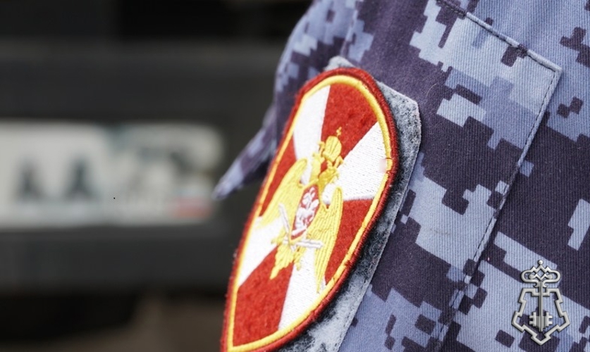 Няндомские росгвардейцы задержали скрывавшегося от правосудия мужчину