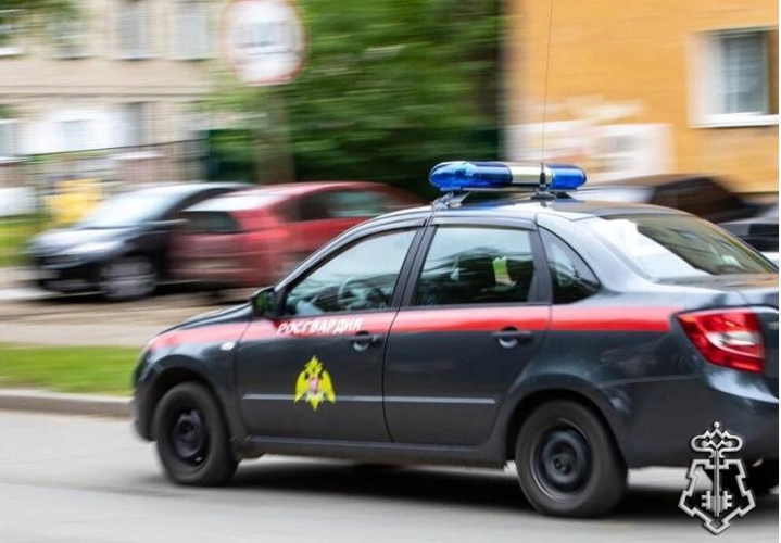 Итоги работы подразделений вневедомственной охраны Архангельской области за неделю
