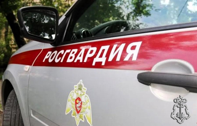 В Северодвинске наряд Росгвардии задержал подозреваемого в серийном воровстве