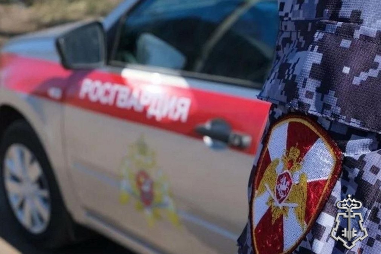 В Котласе наряд Росгвардии задержал гражданку, подозреваемую в магазинной краже.