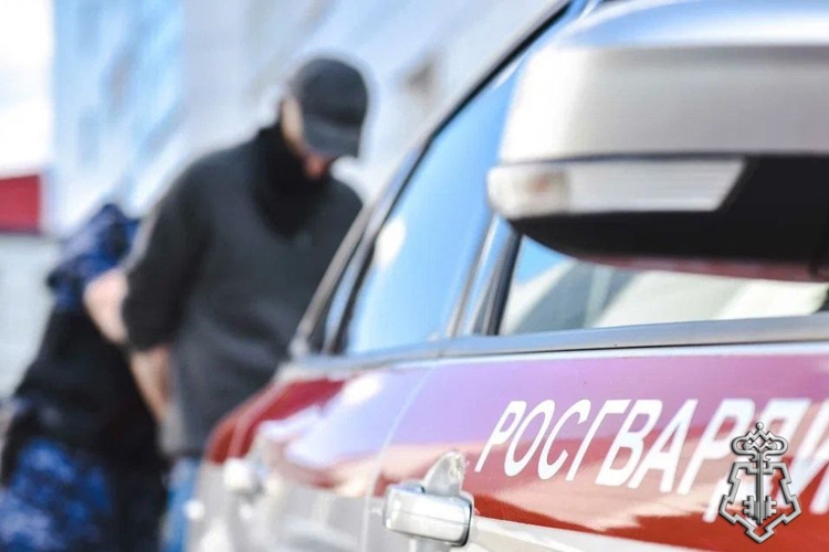 В строительном гипермаркете Архангельска наряд Росгвардии задержал подозреваемого в хищении радиатора отопления.