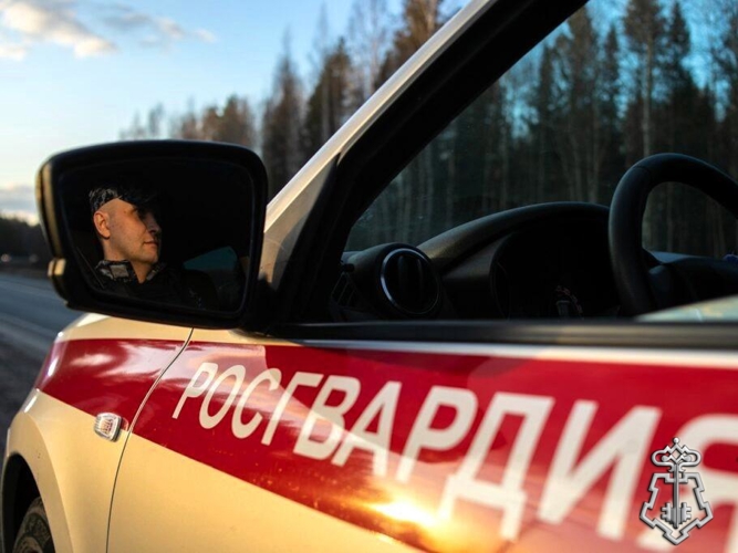 В Няндоме сотрудники Росгвардии задержали разыскиваемого гражданина