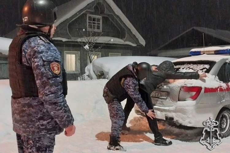 В Няндоме сотрудники Росгвардии задержали домушника, прятавшегося от них под кроватью  