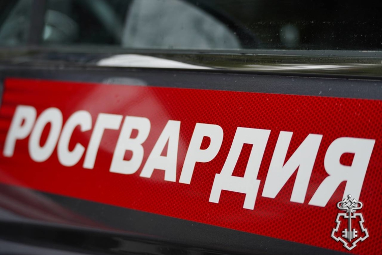 Патруль Росгвардии задержал архангелогородца, подозреваемого в покушении на кражу из магазина.