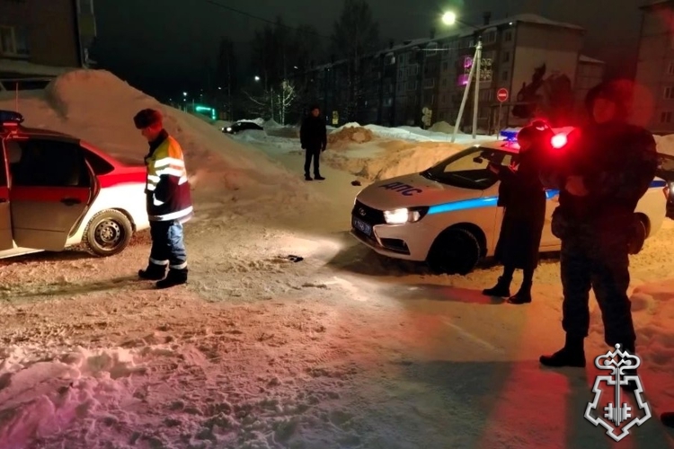 В Няндоме наряд Росгвардии задержал неадеквата, угрожавшего пневматическим оружием посетителям кальянной