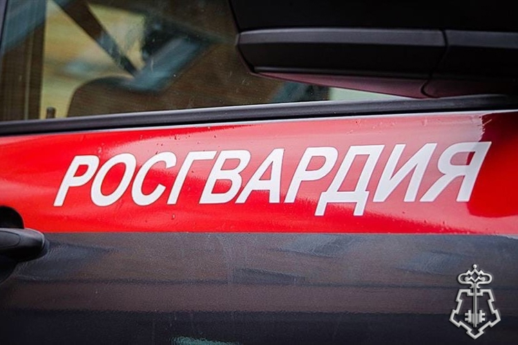 Няндомские росгвардейцы задержали жителя Шалакуши, объявленного в розыск