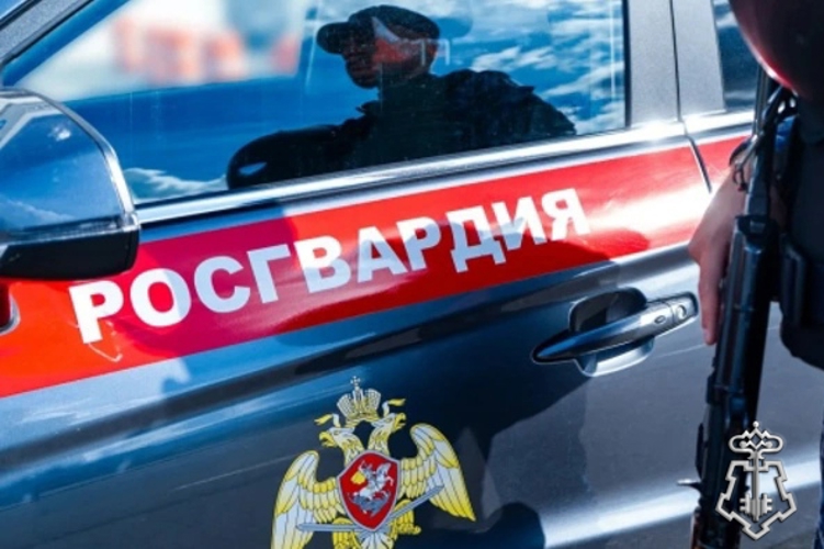 В Северодвинске наряд Росгвардии задержал подозреваемого в воровстве