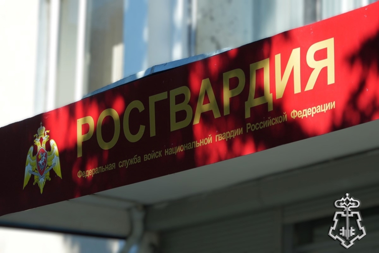 Росгвардейцы Поморья изъяли за правонарушения 32 ружья и задержали двух разыскиваемых лиц, подозреваемых в преступлениях