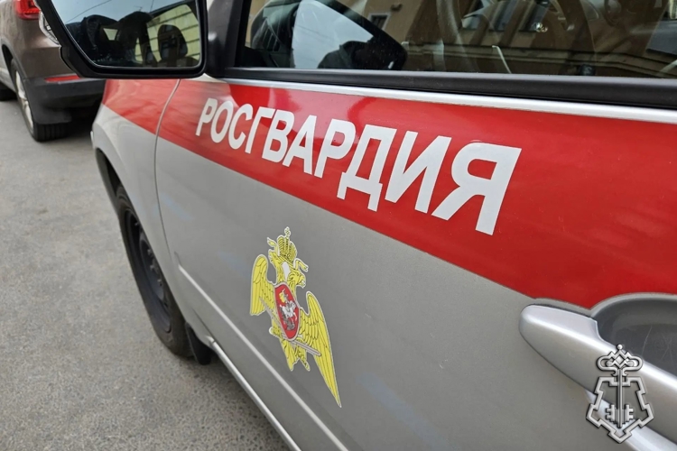 За минувшую неделю в Архангельской области экипажи вневедомственной охраны Росгвардии приняли 217 сигналов тревоги.