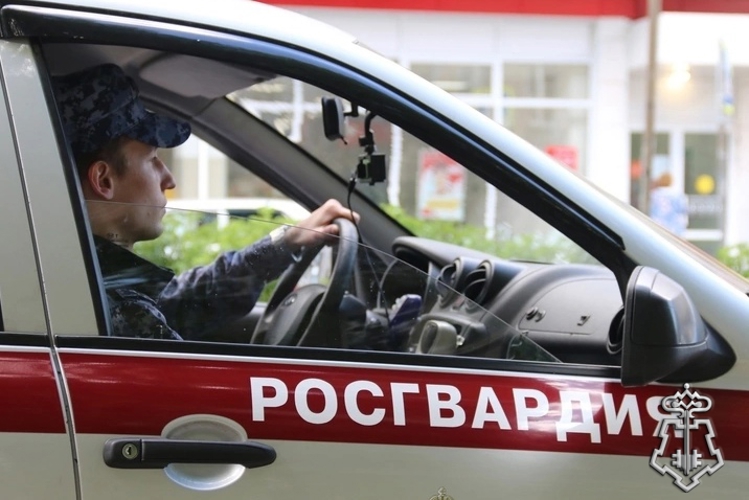 Сотрудники Росгвардии задержали трёх граждан, подозреваемых в хищениях товаров из архангельских магазинов