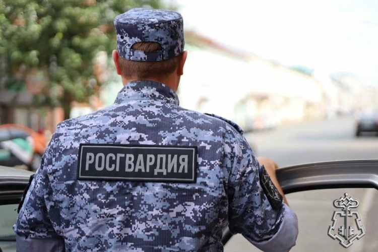В Няндоме сотрудники Росгвардии задержали местного жителя, объявленного в розыск