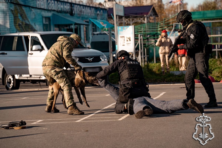 В Архангельске прошла масштабная военно-спортивная игра «В зоне особого внимания», посвящённая 10-летию Росгвардии