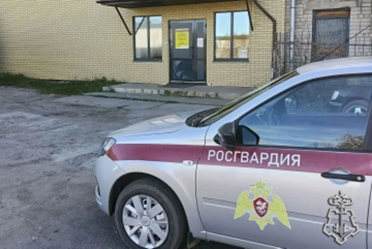 В Котласе сотрудники Росгвардии задержали подростка, незаконно проникшего в магазин запчастей
