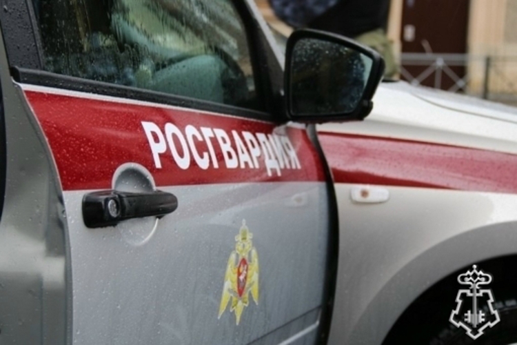 В Котласе сотрудники Росгвардии задержали подростка, незаконно проникшего в магазин запчастей
